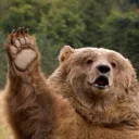 bfgrizzly