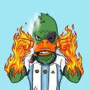 noncokiwi