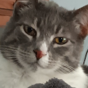 Discord Avatar