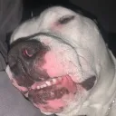 bruhbru.com