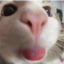 spidermix#9186's avatar