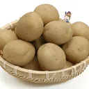 umepoteto