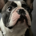 LordButterButt profile