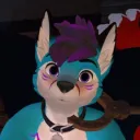 arktisfox