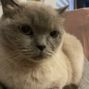 avatar OskiBoski2137