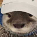 vieirapt