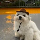 doitertron