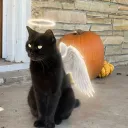 jackfantastic24