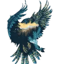 nachtfalke