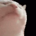 niklyoshi