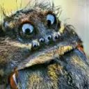 siiiivspider