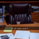 bassel7843