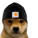 maxo0