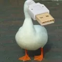 jjjjkkkkjjjkkk