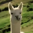 thedanielrity