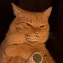 0xe3l