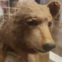 feed de rich's Avatar