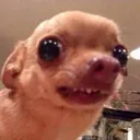going2kilzu