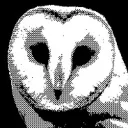 v_kami