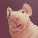 justaplus#7628's avatar