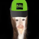 cryptobooger4721