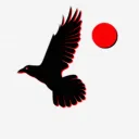 Raven's Avatar