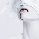 so.pulsion