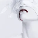 so.pulsion