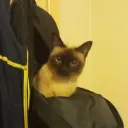 jasonbaba