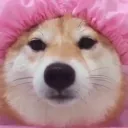 running_shit