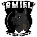 amiel0716