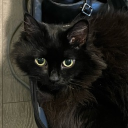 avatar (◕‿◕🌸)