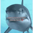 mgtid