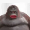 unf0rmed