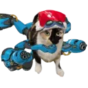 beldrex