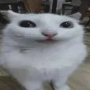 d3rp_ozzie