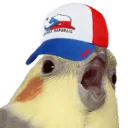 bleskandik