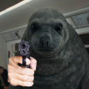 avatar Seallaume Latendresse