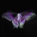 p___1