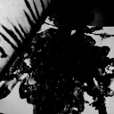 avatar 𝔏𝔲𝔫𝔞