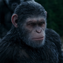apehasnoenemy