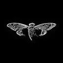 copper47 avatar