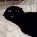 vinedead