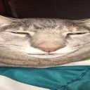 0vd4