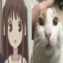 morgandy