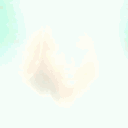 branaerys