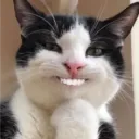 huroncito