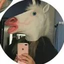 rizz7664