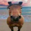 duraleynadmitye