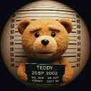 teddyfix